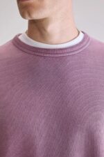 Fabien crewneck sweatshirt (252 / M / VELVET) - Image 5