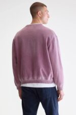 Fabien crewneck sweatshirt (252 / M / VELVET) - Image 4